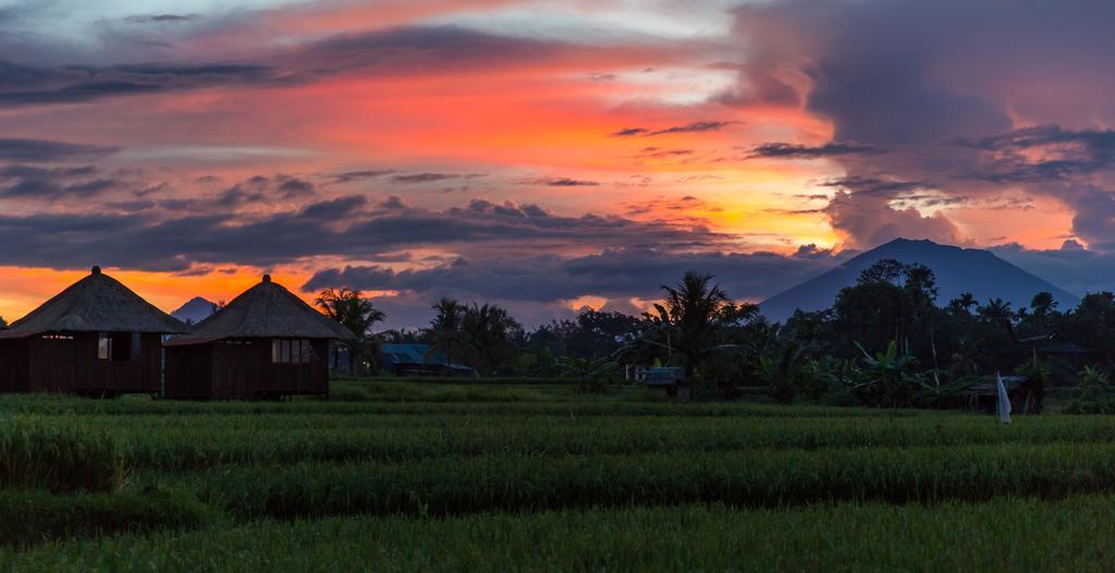 Solo Villas & Retreat Ubud  Exterior photo