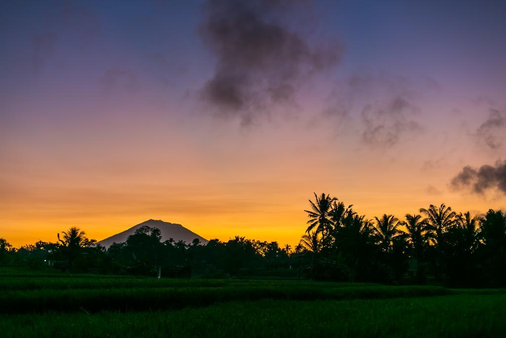 Solo Villas & Retreat Ubud  Exterior photo
