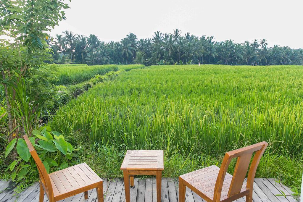 Solo Villas & Retreat Ubud  Exterior photo